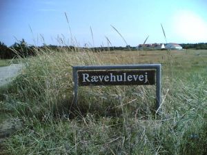 Rævehulevej